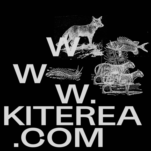 Kiterea