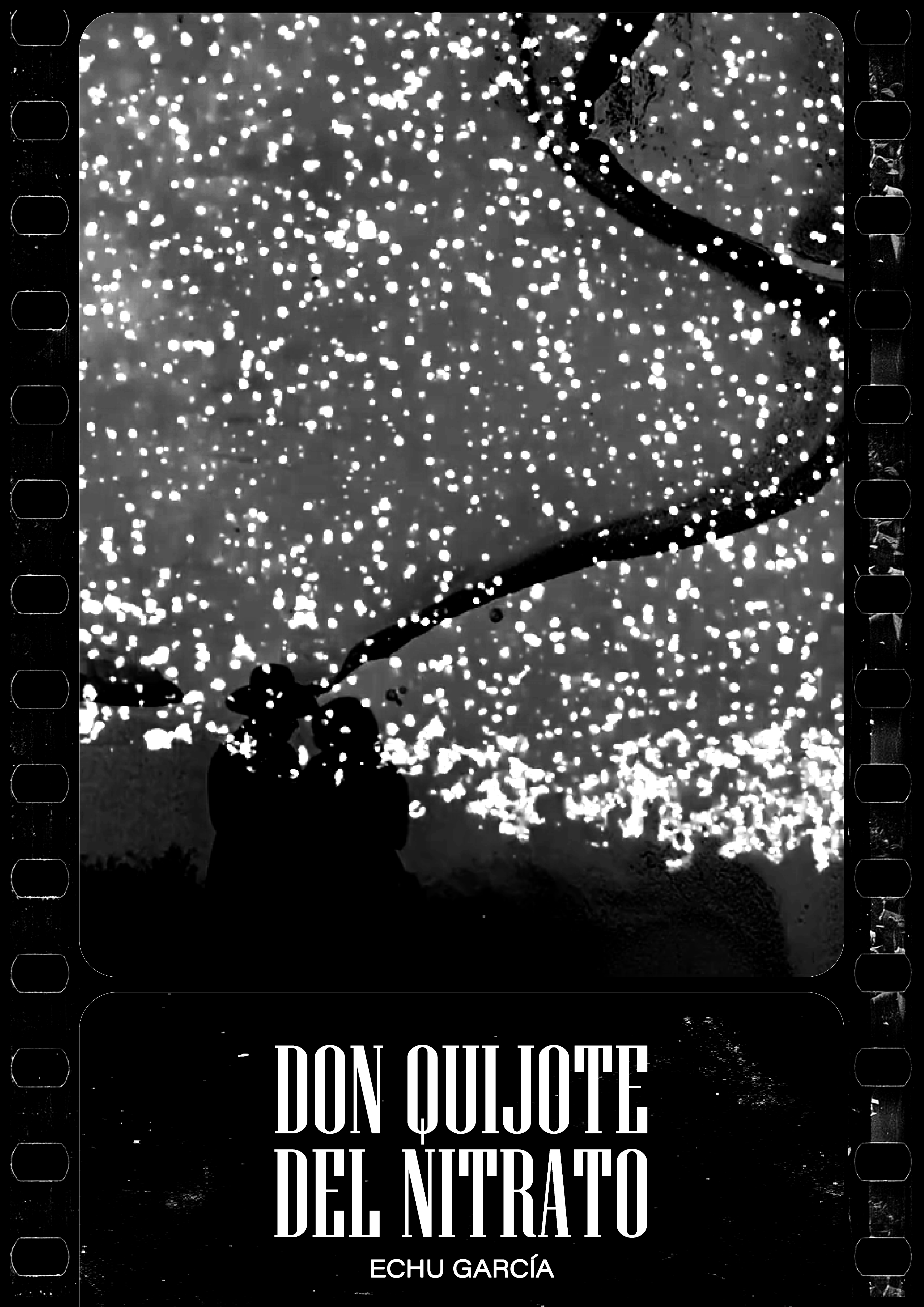 DON QUIJOTE DEL NITRATO