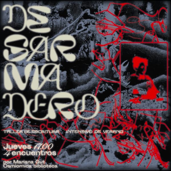 Desarmadero